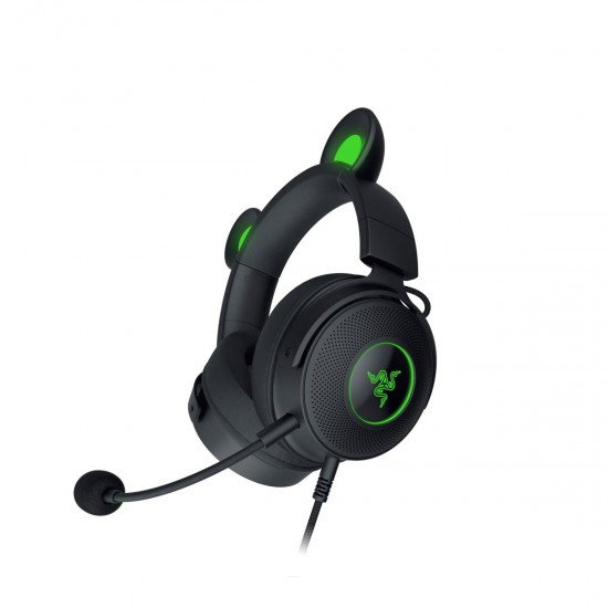 Headphones with Microphone Razer RZ04-04510100-R3M1 Black