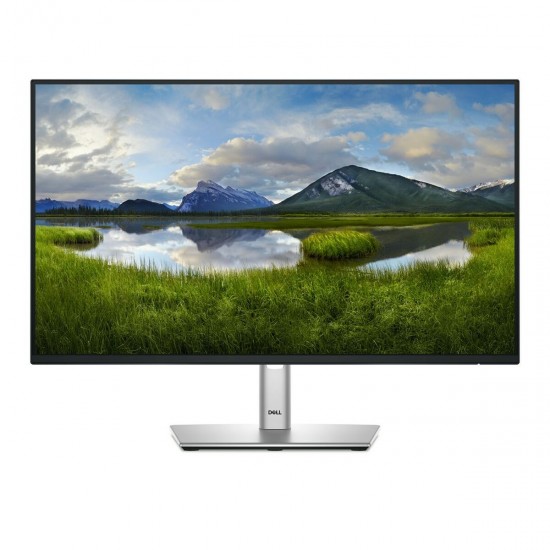 Monitor Dell P2425H Full HD 24" 100 Hz