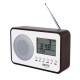 Radio Camry CR 1153 White Black Multicolour