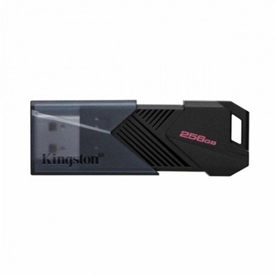 USB stick Kingston DTXON/256GB Black 256 GB (1 Unit)